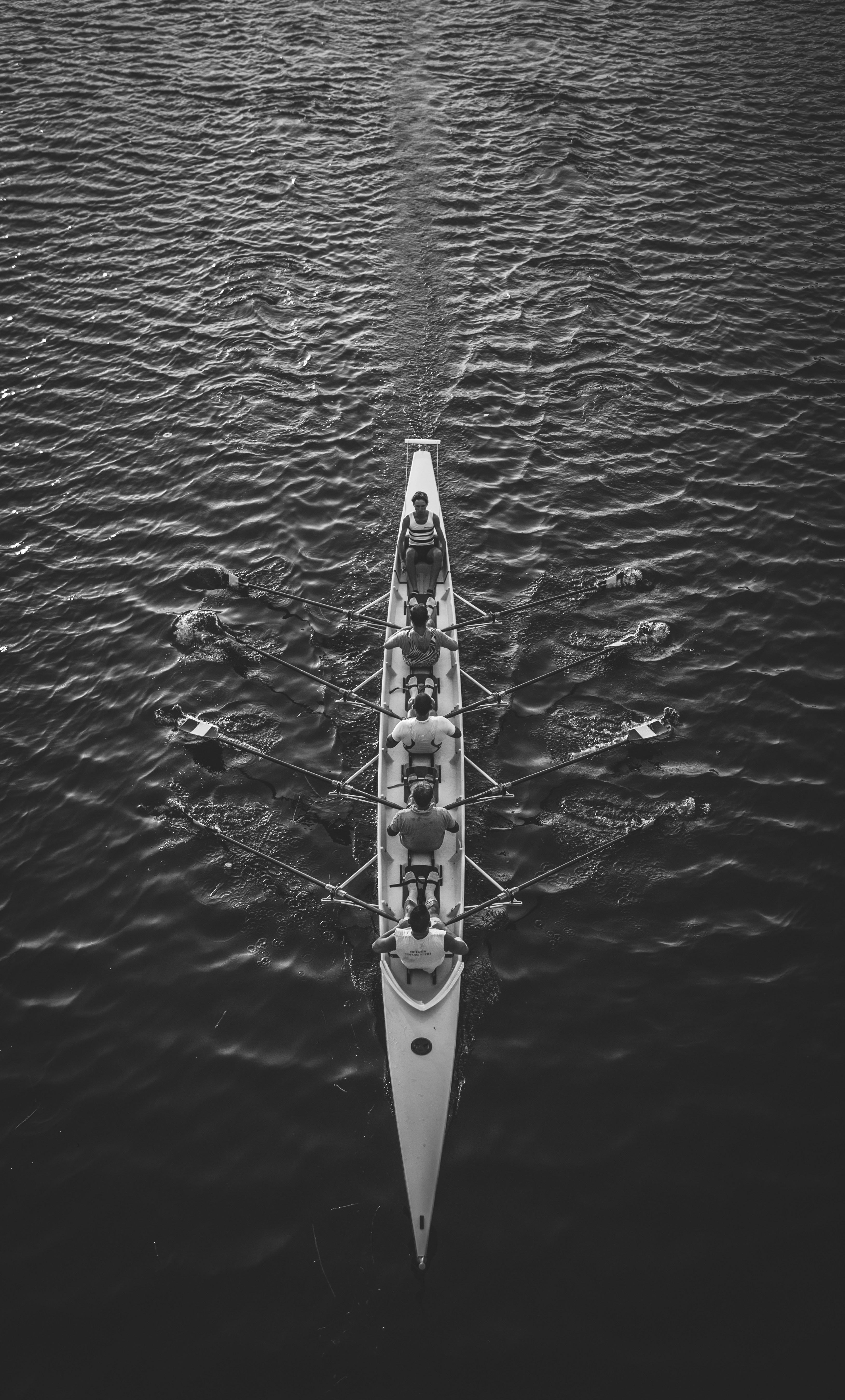 Leadership Insight Essay - Perspectives from the CEO